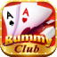 41 bonus rummy silver