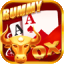 rmg rummy station apk latest version