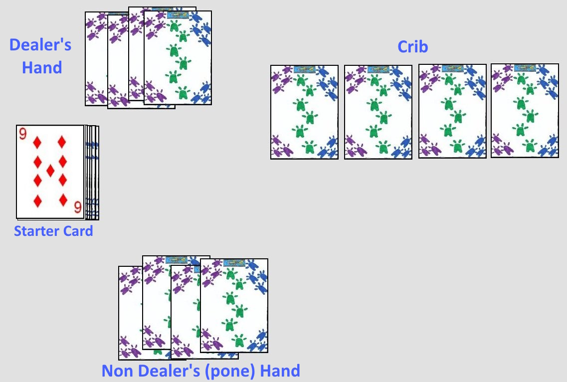 Starting Layout for the Card Game Cribbage Starting layout for the card game Cribbage