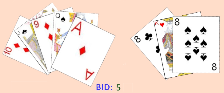 Bid of five in Sjavs