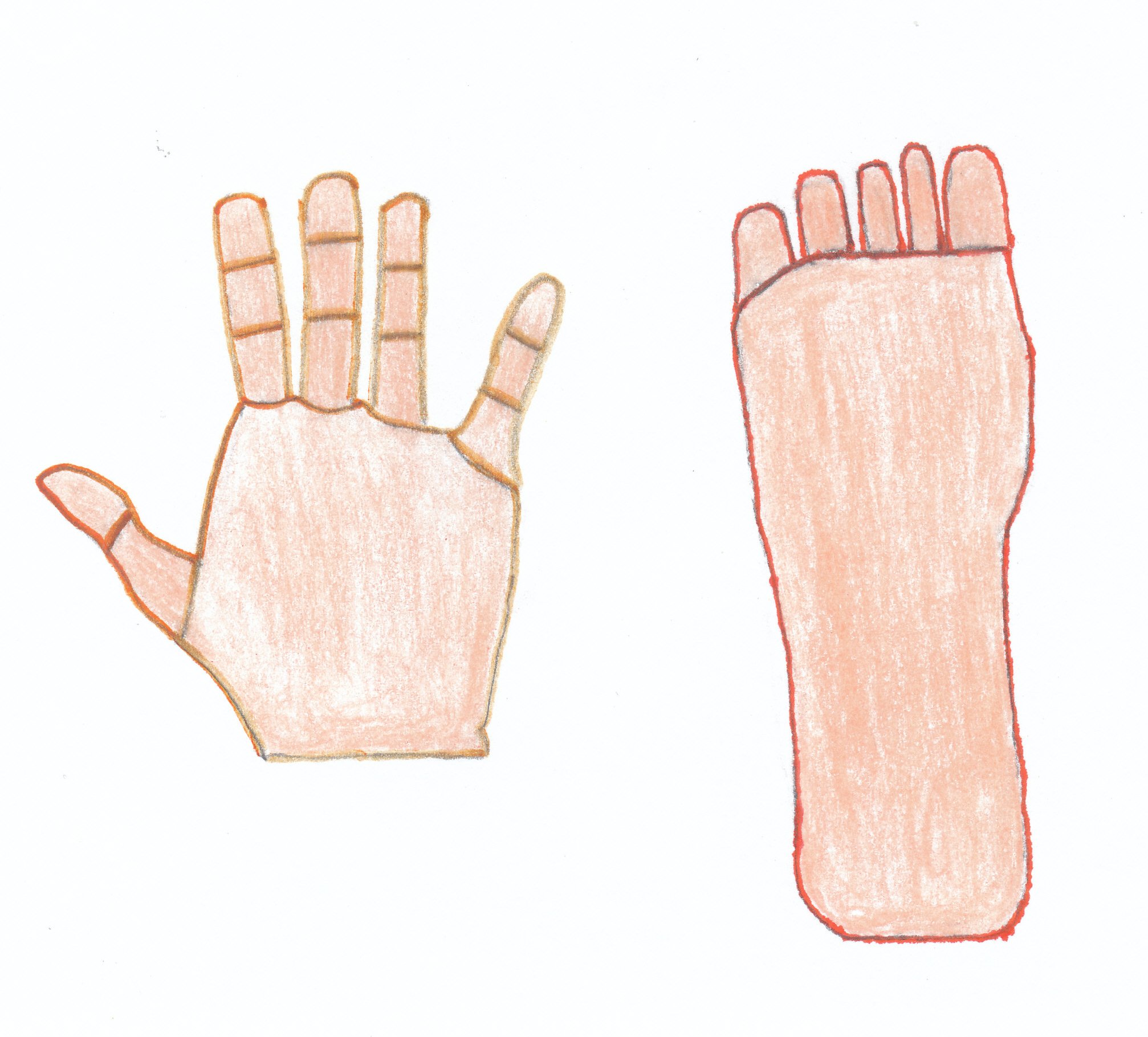 How to Play Hand and Foot Canasta How to Play Hand and Foot Canasta