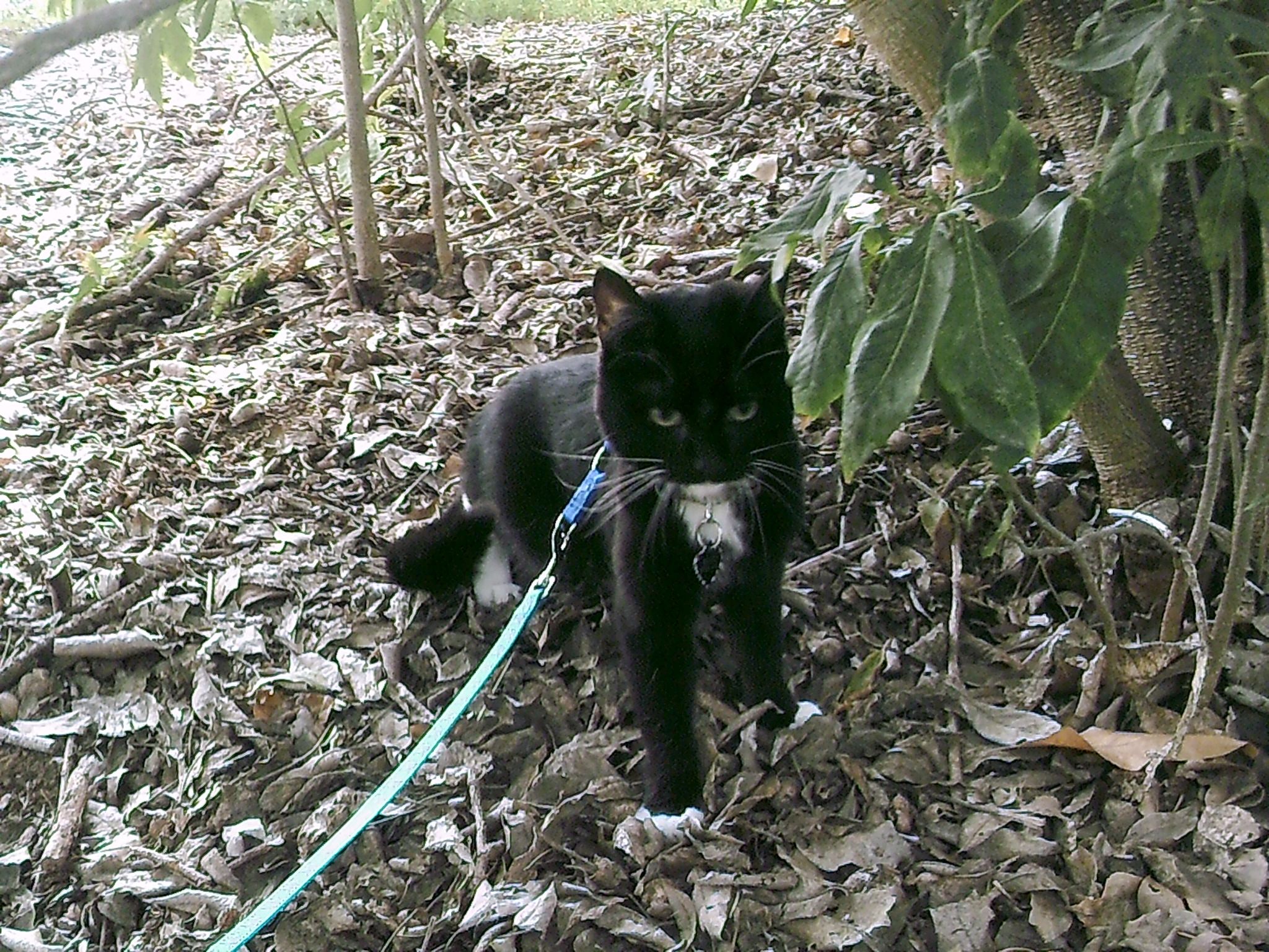 Extra Cute!