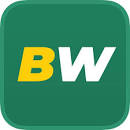 BetWinner favicon