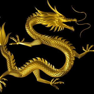 The Technology behind Live Dragon Tiger Casinos