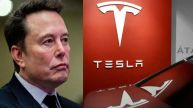 Tesla Shares Crash 14% Amid Trump-Musk Public Spat