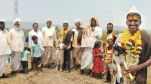 Birdev