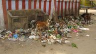 Hyderabad Horror: Father Stabs 14-Day-Old Daughter To Death, Dumps Body In Garbage