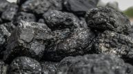Coal