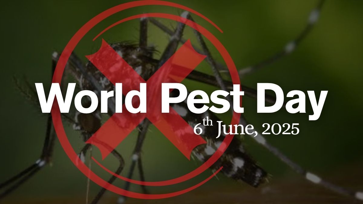 Top 5 Pests Indians Are Fighting in 2025 - And How to Stop Them