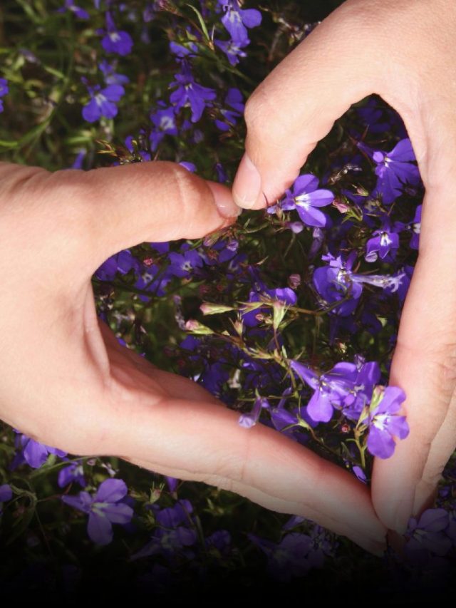 Unlock The Power Of Plants: Numerology And Plant Medicine
